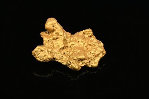 Gold nugget finder describes search