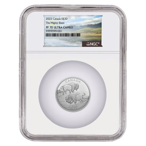 2022 2 oz Silver 'The Mighty Bison' PF70 coin